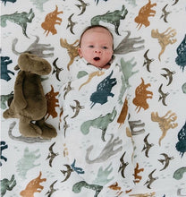 Load image into Gallery viewer, Baby swaddle Wrap